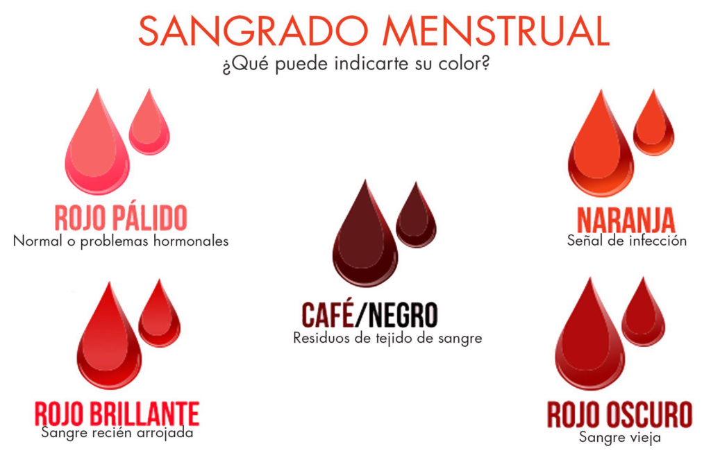 Sangrado menstrual, la menstruación